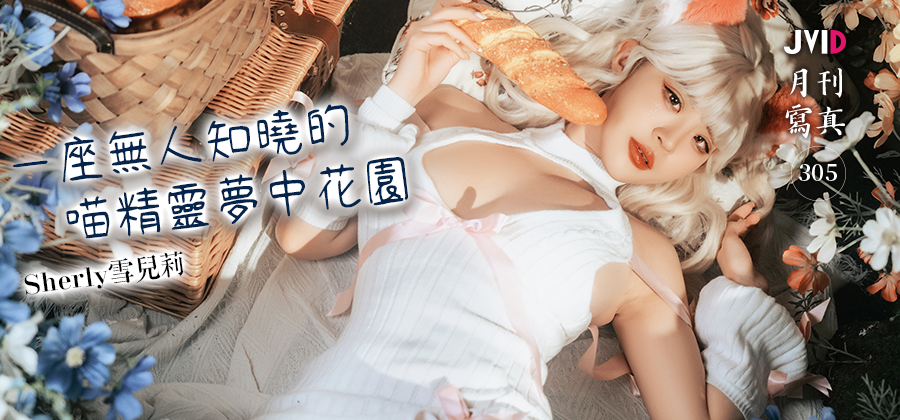 Banner Image